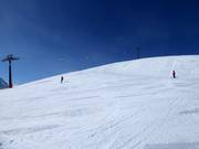 Large piste n° 3 Wilder Mann