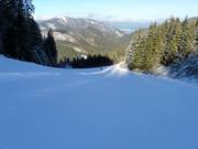 Piste n° 11 vers Záhradky