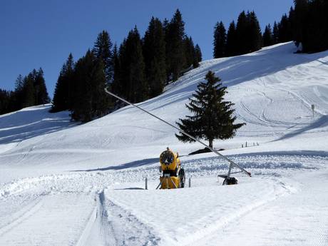 Fiabilité de l'enneigement Simmental (vallée de la Simme) – Fiabilité de l'enneigement Rinderberg/Saanerslochgrat/Horneggli – Zweisimmen/Saanenmöser/Schönried/St. Stephan