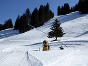 Canon à neige performant et lance à neige