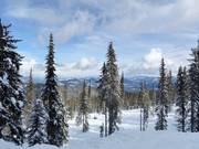Le domaine skiable SilverStar bénéficie d’un enneigement naturel abondant.