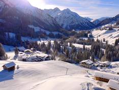 IFA Alpenhof Wildental