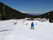 Piste facile au téléski Panica B à Bunderishka Polyana