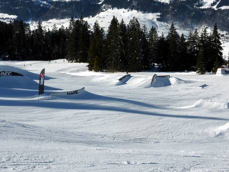 Snowparks Préalpes appenzelloises et saint-galloises – Snowpark Wildhaus – Gamserrugg (Toggenburg)