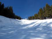 Piste extrêmement difficile The Chute