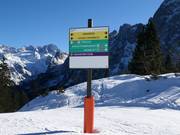 Signalisation des pistes dans la région de ski Dachstein West