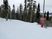Très facile chemin de liaison dans le domaine skiable d'Ounasvaara
