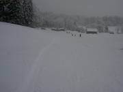 Neige fraîche à Beuerberg
