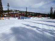 Espace d'entraînement avec tapis roulant couvert