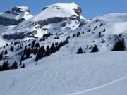 Barrière des zones interdites à la circulation