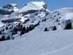 Suisse centrale: Domaines skiables respectueux de l'environnement – Respect de l'environnement Hoch-Ybrig – Unteriberg/Oberiberg