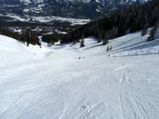 Piste Linda's Run