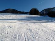 Piste facile au téléski FIS