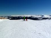 Départ des pistes à l'Aineck