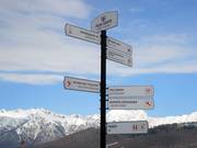 Signalisation bilingue