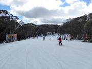 Piste facile Wombats Ramble