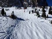 Piste à bosses au Sotsalong