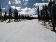 Descente Whistlestop