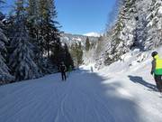 Descente jusqu'à la vallée vers Schruns