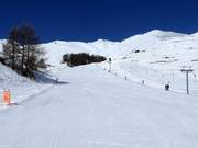 Piste facile Survih