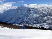 Lance à neige sur la piste 5