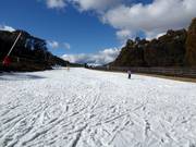 Piste d'entraînement au tapis roulant Syds Snow Runner