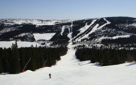 Skier près de Gålå