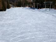 Téléskis d'entraînement dans la vallée