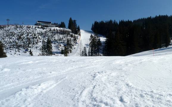 Meilleur domaine skiable dans la région touristique d'Alpsee-Grünten – Évaluation Ofterschwang/Gunzesried – Ofterschwanger Horn