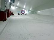 Piste pour débutants au téléski à corde et aux deux tapis roulants