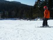 Plaisir dans la neige