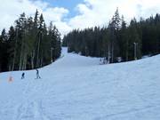 Piste facile Windjammer