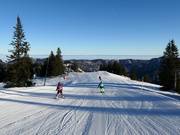 Descente facile de l'Alm