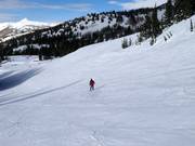 Très bonne préparation des pistes à Brighton