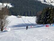 Descente Schwinbach FIS
