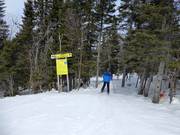 Accès aux pistes forestières défrichées (Gladed Runs)