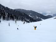 Descentes dans la Sun Bowl