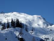 Magnifiques pistes de poudreuse au Lawinenstein