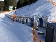 Horberg Shuttle 2 - Tapis roulant/Moving Carpet recouvert d’une galerie