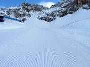 Piste damée à Obereggen