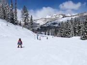 Piste facile au télésiège Link