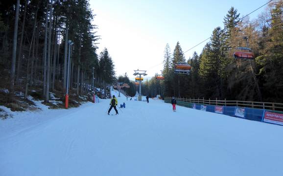 Pologne sud-occidentale: Taille des domaines skiables – Taille Biały Jar – Karpacz