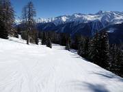 Piste facile au téléski Fleschen
