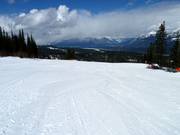 Large, facile et réservée aux débutants