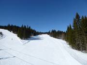 Piste n° 79
