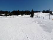 Piste d'entraînement dans la zone de la vallée