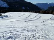 Pistes de ski de fond au col de Rolle