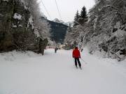 Descente vers la vallée jusqu'à Andalo