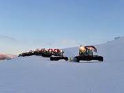 Les dameuses au travail