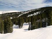 Les pistes du Blue Sky Basin